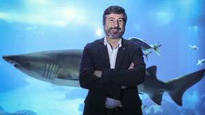 O presidente executivo da Fundação Oceano Azul, Tiago Pitta e Cunha, posa para a fotografia durante uma entrevista à agência Lusa de antecipação da cimeira dos Oceanos em Nice, que decorrerá de 9 a 13 de junho, no Oceanário, em Lisboa, 13 de março de 2025. A Fundação Oceano Azul, que coorganiza com França o encontro SOS Oceano em Paris, defende que até ao final da década os oceanos tenham um nível de proteção e governação semelhante ao que tem hoje o clima. (ACOMPANHA TEXTO DA LUSA DO DIA 29 DE MARÇO DE 2025). ANTÓNIO PEDRO SANTOS/LUSA