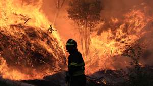 Um bombeiro combate o incêndio que lavra junto ao lugar de Monte Moção, na freguesia Santa Eulália, em Arouca, 29 de Julho de 2025. O incêndio que lavra há mais de 24 horas em Arouca, no distrito de Aveiro, tem três frentes ativas e já chegou à freguesia de Santa Eulália, informou hoje a autarquia e às 18:30, segundo a página na Internet da Autoridade Nacional de Emergência e Proteção Civil, estavam mobilizados no combate às chamas 721 operacionais, 245 viaturas e sete meios aéreos. ESTELA SILVA/LUSA