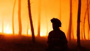 Um bombeiro combate as chamas durante um incêndio em São Martinho da Anta, concelho de Sabrosa, Vila Real, 2 de agosto de 2025. O fogo que começou em São Cibrão, Vila Real, alastrou para o concelho de Sabrosa, onde lavra em duas frentes com alguma intensidade e mobiliza cerca de 240 operacionais. PEDRO SARMENTO COSTA/LUSA