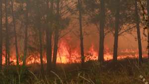 Incêndio de grandes proporções que começou há quatro dias no concelho de Trancoso e que passou para o concelho de Fornos de Algodres, distrito da Guarda, em Casal do Monte, freguesia de Queiriz, 13 de agosto de 2025. O incêndio que lavra desde sábado em Trancoso, distrito da Guarda, sofreu uma reativação durante a madrugada por causa da trovoada e obrigou a um reforço de meios no terreno, segundo a proteção civil. MIGUEL PEREIRA DA SILVA/LUSA