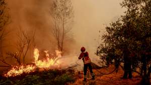 A fireman fights the flames during a forest fire that started five days ago near the Aldeia de Piodao, in Arganil, and spreads to Silvares, in Fundao, Portugal, 18 August 2025. Forest fires have burned in Portugal 185.753 hectares to date, causing two deaths, including a firefighter, and several injuries, most of them minor, and completely or partially destroyed primary and secondary residences, as well as farms, livestock operations, and forest areas. MIGUEL PEREIRA DA SILVA/LUSA