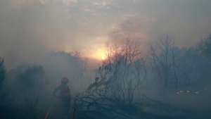 A firefighter try to fight the forest fire in Pinhel, Guarda, Portugal, 16 August 2025. Forest fires have burned in Portugal 139,000 hectares to date, half of which in just two days, representing 17 times more than the area burned in the same period last year. MIGUEL PEREIRA DA SILVA/LUSA