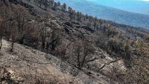 Encostas da Serra da Lousã queimadas pelo fogo que fustigou a serra durante a última semana, Lousã, 22 de agosto de 2025. PAULO NOVAIS/LUSA