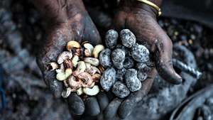 Sentadas à porta de uma casa, em Maputo, escurecida pelo fumo da castanha assada, duas mulheres, Rosalina de nome, sustentam famílias a partir do negócio que atravessa gerações e volta a ganhar força em Moçambique: o caju. Em Maputo, Moçambique, 16 de julho de 2025. (ACOMPANHA TEXTO DA LUSA DO DIA 01 DE SETEMBRO DE 2025). LUÍSA NHANTUMBO/LUSA
