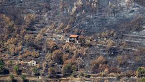 Floresta queimada pelo fogo de 15 de agosto, no incêndio em Avô, em Oliveira do Hospital, 25 de agosto de 2025. PAULO NOVAIS/LUSA
