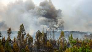 Coluna de fumo durante o incêndio que consome floresta em Ervedal da Beira, Oliveira do Hospital, 19 de setembro de 2025. O fogo que lavra desde a tarde de hoje em Oliveira do Hospital, no distrito de Coimbra, obrigou à retirada de mais de duas dezenas de pessoas das suas casas. PAULO NOVAIS/LUSA