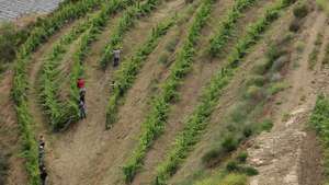 No espaço de uma década, um grupo empresarial ligado ao setor vitivinícola implementou no concelho de Foz Côa um conceito que vai muito além da produção de vinho, contribuindo simultaneamente para a preservação da biodiversidade do território, Vila Nova de Foz Côa, 05 junho 2018. Após uma década, estamos muito satisfeitos em ter apadrinhado este conceito revolucionário de preservar a biodiversidade e, ao mesmo tempo, desenvolver uma cultura económica. (ACOMPANHA TEXTO DO DIA 7 DE JUNHO DE 2018). MANUEL FERNANDO ARAÚJO/LUSA