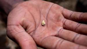 epa07088137 Manuel, a young garimperio (artisanal miner) shows a little clod of gold as he stands in the pit in which he works in a mine in Manica Province, Mozambique, 08 October 2018 (issued 12 October 2018). After processing the ore is primarily sold to buyers in the town of Manica on the border with Zimbabwe, for around 10USD per gram. According to reports, Mozambique has its mining potential unexploited with large deposits of coal, graphite, kaolin, iron ore, apatite, marble, bentonite, bauxite, copper, gold, titanium, rubies, and tantalum. In recent years gold deposits in Mozambique provinces of Niassa, Tete and Manica have attracted domestic and international investors. However the gold mining is still done mainly by artisan miners. According to reports, gold industry production is to grow 1.1 percent annually from 2016 to 2020.  EPA/YESHIEL PANCHIA ATTENTION: This Image is part of a PHOTO SET
