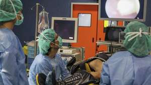 O médico de ginecologia-obstetrícia do Centro Materno Infantil do Norte, Prof. Dr. Hélder Ferreira (C), utiliza em cirurgia, através de um sistema ótico, com recurso a uma câmara endoscópica, a nova técnica consiste "na visualização do interior do útero" por via transvaginal e permite uma maior precisão na identificação e remoção de lesões intrauterinas, no Centro Materno Infantil do Norte, Porto, 23 julho 2018. MANUEL FERNANDO ARAÙJO/LUSA