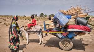 epa11898832 A Sudanese family newly arrived in South Sudan carrying all their belongings, in Gerbana, a village 22km from the Sudanese border, South Sudan, 13 February 2025 (issued on 15 February 2025). About 110,000 people have arrived in Renk County since December 2024, according to MSF, with 70,000 living in informal settlements such as Gerbana and Atham. There are 975,079 Sudanese refugees in South Sudan, according to UNHCR.  EPA/DIEGO MENJIBAR