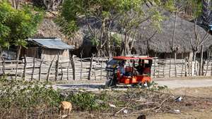 Um tum-tum transporta um cliente numa aldeia em Timor-Leste, 23 de agosto de 2024. Timor-Leste fez um "progresso impressionante" desde a independência, mas permanece um estado frágil, considera o Fundo Monetário Internacional (FMI), com alguns analistas a alertarem para os "desafios da transição" do poder e perspetiva de crescimento económico modesto. (ACOMPANHA TEXTO DA LUSA DO DIA 24 DE AGOSTO DE 2024). PAULO NOVAIS/LUSA