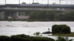epa11572925 A heron stands next to high level water at the Tama river in Tokyo, Japan, 30 August 2024. Tama river reached the level 4 out 5 on the flood hazard scale earlier in the day. Typhoon Shanshan moved slowly and brought intermittent heavy rains not only to Kyushu and Shikoku, but also to the Kanto area, in Tokyo's region. The Japan Meteorological Agency continued to urge people to remain vigilant for landslides, flooding and rising water levels in rivers. Despite weakening, the typhoon, which is expected to reach Tokyo by 31 August, brings heavy rainfall even in the city due to the warm and moist air flowing clockwise.  EPA/FRANCK ROBICHON