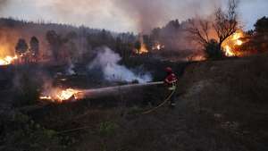 Um bombeiro comabte o incêndio florestal que começou em Ervedal da Beira, Oliveira do Hospital, mas passou para Caldas da Felgueira, no concelho de Nelas, em Viseu, 19 de setembro de 2025. O fogo que lavra desde a tarde de hoje em Oliveira do Hospital, no distrito de Coimbra, obrigou à retirada de mais de duas dezenas de pessoas das suas casas. PAULO NOVAIS/LUSA