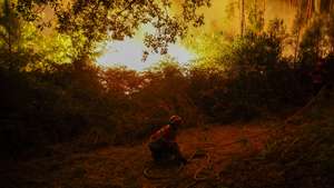 epa12319173 Firefighters battle a forest fire in Pedrogao Grande, Leiria, Portugal, 23 August 2025. The two fires that are currently consuming forest in Pedrogao Grande have already reached the municipality of Serta, with various resources being deployed in both areas to combat the fire, the Civil Protection said.  EPA/PAULO NOVAIS  EPA/PAULO NOVAIS
