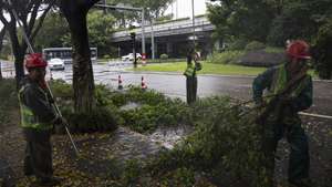 epa13104065 Workers cut and clear branches of trees ahead of the passage of Typhoon Bavi, in Wenzhou, in the province of Zhejiang, China, 11 July 2026. Typhoon Bavi, the 9th of the season, is expected to make landfall between 11 and 12 July.  EPA/ANDRES MARTINEZ CASARES