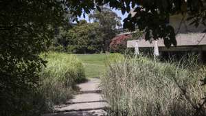 Jardim da Fundação Calouste Gulbenkian, no âmbito de uma conversa com a arquiteta paisagista Paula Corte-Real (ausente da fotografia), responsável pelo jardim, em Lisboa, 15 de julho de 2026. (ACOMPANHA TEXTO DA LUSA DO DIA 18 DE JULHO DE 2026). MIGUEL A. LOPES/LUSA