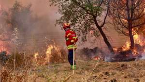 Um bombeiro combate o incêndio na Bemposta, Penamacor, 29 de julho de 2025. O incêndio que deflagrou na segunda-feira, em Penamacor, distrito de Castelo Branco, entrou em fase de rescaldo e vigilância revelou a Proteção Civil e neste momento estão 379 operacionais no terreno, apoiados por 125 viaturas e três meios aéreos. MIGUEL PEREIRA DA SILVA/LUSA