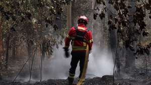 Bombeiros de Coimbrões fazem o rescaldo do incêndio florestal que deflagrou ao final da tarde de segunda-feira em Rebordões, no concelho de Santo Tirso, e que chegou a ter mais de 200 homens apoiados por mais de 70 viaturas no combate a quatro frentes ativas, queimaram mil hectares de mato e floresta, 20 de agosto de 2026. (ACOMPANHA TEXTO). ESTELA SILVA/LUSA