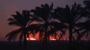epa13214343 Flames from a wildfire burn vegetation in Ogan Ilir, South Sumatra, Indonesia, 05 September 2026. Indonesian authorities have intensified aerial and ground response operations as El Nino-fueled wildfires across Sumatra and Kalimantan generate toxic transboundary haze, affecting air quality and health across the region, including in neighboring Malaysia, Singapore, and the Philippines.  EPA/MAST IRHAM