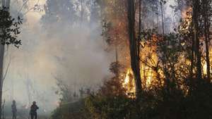 Bombeiros combatem o incêndio florestal que deflagrou ao início da tarde na zona de Eirol/Eixo, no concelho de Aveiro, e obrigou ao corte da Autoestrada do Norte (A1), em Aveiro, 18 de setembro de 2026. PAULO NOVAIS/LUSA
