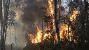 Bombeiros combatem o incêndio florestal que deflagrou ao início da tarde na zona de Eirol/Eixo, no concelho de Aveiro, e obrigou ao corte da Autoestrada do Norte (A1), em Aveiro, 18 de setembro de 2026. PAULO NOVAIS/LUSA