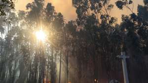 Chamas durante o incêndio florestal que deflagrou ao início da tarde na zona de Eirol/Eixo, no concelho de Aveiro, e obrigou ao corte da Autoestrada do Norte (A1), em Aveiro, 18 de setembro de 2026. PAULO NOVAIS/LUSA