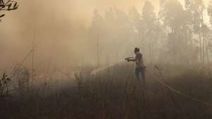 Um popular combate o incêndio florestal que deflagrou ao início da tarde na zona de Eirol/Eixo, no concelho de Aveiro, e obrigou ao corte da Autoestrada do Norte (A1), em Aveiro, 18 de setembro de 2026. PAULO NOVAIS/LUSA