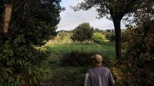 Arnaldo Magalhães, agricultor, no seu de terreno cultivado que constitui parte da Reserva Agrícola Nacional e Reserva Ecológica Nacional de Vila Nova de Gaia, onde o consórcio AVAN Norte (Mota-Engil, Teixeira Duarte, Alves Ribeiro, Casais, Conduril e Gabriel Couto) pretende construir a estação ferroviária de alta velocidade (TGV), em Vila Nova de Gaia, 20 de outubro de 2025. (ACOMPANHA TEXTO DA LUSA DO DIA 21 DE OUTUBRO DE 2025). JOSÉ COELHO/LUSA