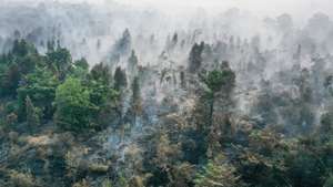 epaselect epa13214340 An aerial view taken with a drone shows smoke billowing from a wildfire-affected area in Ogan Ilir, South Sumatra, Indonesia, 05 September 2026. Indonesian authorities have intensified aerial and ground response operations as El Nino-fueled wildfires across Sumatra and Kalimantan generate toxic transboundary haze, affecting air quality and health across the region, including in neighboring Malaysia, Singapore, and the Philippines.  EPA/MAST IRHAM