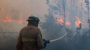 Um bombeiro combate o incêndio florestal que deflagrou ao início da tarde na zona de Eirol/Eixo, no concelho de Aveiro, e obrigou ao corte da Autoestrada do Norte (A1), em Aveiro, 18 de setembro de 2026. PAULO NOVAIS/LUSA