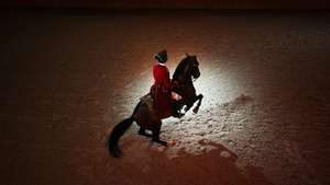 A Escola Portuguesa de Arte Equestre tem desde o dia 20 de julho espetáculos e treinos abertos ao público no novo Picadeiro Henrique Calado, em Lisboa, 10 de agosto de 2015. (ACOMPANHA TEXTO) MÁRIO CRUZ/LUSA