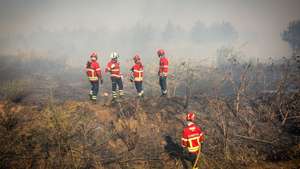 Bombeiros durante um incêndio que deflagrou hoje em zona de mato por volta das 12:20, em Alcabideche, no concelho de Cascais, Lisboa, de acordo com a Proteção Civil, 21 de julho de 2024. Segundo a página da Autoridade Nacional de Emergência e Proteção Civil (ANEPC), consultada às 17:08, 313 bombeiros, 91 veículos e nove meios aéreos combatiam o incêndio no local. ANTÓNIO PEDRO SANTOS/LUSA