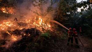 Firefighters during a forest fire in Bornes de Aguiar, Vila Pouca de Aguiar, Portugal, 16 September 2024. The situation has worsened in the fire in Vila Pouca de Aguiar, which is approaching the village of Vila Meã, said the mayor today, who asked for more resources to fight the three fires in the municipality. 133 operational and 40 vehicles are fighting the forest fire. PEDRO SARMENTO COSTA/LUSA