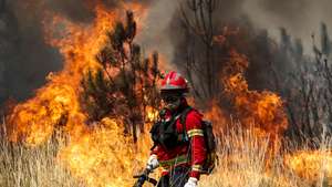 Um bombeiro combate as chamas durante o incêndio na encosta da aldeia de Moura da Serra, Arganil, 14 de agosto de 2025. De acordo com os dados disponíveis no ‘site’ da Autoridade Nacional de Emergência e Proteção Civil (ANEPC), quase 900 operacionais combatiam o fogo que deflagrou na quarta-feira na freguesia de Piódão, no concelho de Arganil, distrito de Coimbra, e se estendeu depois aos municípios de Oliveira do Hospital e Pampilhosa da Serra (Coimbra), e de Seia, já no distrito da Guarda. PAULO CUNHA/LUSA