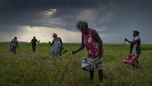 epa09875281 A handout photo made available by the World Press Photo Foundation shows one for four images of the World Press Photo Story of the Year 2022 by Australian photographer Matthew Abbott, for National Geographic / Panos Pictures, depicting Indigenous Australians strategically burning land in a practice known as cool burning, in which fires move slowly, burn only the undergrowth, and remove the build-up of fuel that feeds bigger blazes in West Arnhem Land, Australia, 31 October 2021 (issued 07 April 2022). For tens of thousands of years, Aboriginal people - the oldest continuous culture on earth - have been strategically burning the country to manage the landscape and to prevent out of control fires. At the end of the wet season, there's a period of time where this prescribed burning takes place. The Nawarddeken people of West Arnhem Land, Australia, have been practicing controlled cool burns for tens of thousands of years and see fire as a tool to manage their 1.39 million hectare homeland. Warddeken rangers combine traditional knowledge with contemporary technologies to prevent wildfires, thereby decreasing climate-heating CO2.  EPA/Matthew Abbott HANDOUT Under strict embargo until 07 April 12.00 (noon) CEST * MANDATORY CREDIT: AMBER BRACKEN / WORLD PRESS PHOTO FOUNDATION * NO CROPPING * NO MANIPULATING * USE ONLY FOR SINGLE PUBLICATION IN CONNECTION WITH THE WORLD PRESS PHOTO AND ITS ACTIVITIES * HANDOUT EDITORIAL USE ONLY/NO SALES