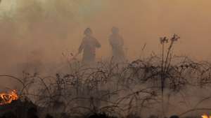 Elementos da Unidade de Emergência de Proteção e Socorro (UEPS) da GNR combatem o incêndio florestal que deflagrou ao início da tarde na zona de Eirol/Eixo, no concelho de Aveiro, e obrigou ao corte da Autoestrada do Norte (A1), em Aveiro, 18 de setembro de 2026. PAULO NOVAIS/LUSA