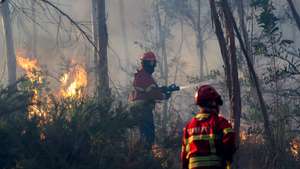 Bombeiros combatem o incêndio florestal que deflagrou ao início da tarde na zona de Eirol/Eixo, no concelho de Aveiro, e obrigou ao corte da Autoestrada do Norte (A1), em Aveiro, 18 de setembro de 2026. PAULO NOVAIS/LUSA