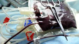 O apelo para a dádiva de sangue é feito a "todas as pessoas saudáveis com mais de 18 anos, com mais 50 quilogramas de peso e menos de 65 anos"