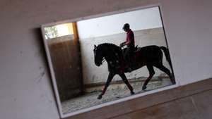 Elemento da equipa de Dressage, Duarte Nogueira