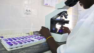 Técnico de Laboratório José Gomes no Laboratório de Parasitologia Centro de Investigação em Saúde de Manhiça, a poucos quilómetros de Maputo,  no âmbito da busca de uma vacina eficaz contra a doença que mais mata em África, 25 de Abril de 2009. (ACOMPANHA TEXTO). PEDRO SÁ DA BANDEIRA/LUSA