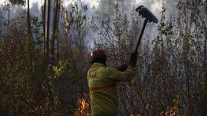 Um bombeiros combate um incêndio em Glória do Ribatejo, no concelho de Salvaterra de Magos, 22 agosto 2021. O incêndio que lavra desde cerca das 15:00 de hoje em Salvaterra de Magos causou um ferido ligeiro, o condicionamento da uma estrada e o corte da linha férrea de Vendas Novas. PAULO CUNHA/LUSA