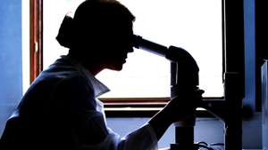 Cientistas imagem geral