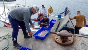 Pescadores descarregam da sua embarcação caixas com lulas no porto de Rabo de Peixe, que continua em atividade, mesmo com as regras de confinamento devido à pandemia da covid-19, Ribeira Grande, ilha de São Miguel, Açores, 07 de abril de 2020. Em Rabo de Peixe, a maior comunidade piscatória dos Açores, a população começa a cumprir as regras do confinamento, mas as ruas enchem-se de homens que continuam a ir ao mar. (ACOMPANHA TEXTO DO DIA 08 DE ABRIL DE 2020). EDUARDO COSTA/LUSA