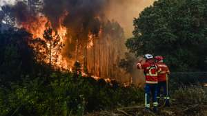 Elementos dos bombeiros durante o combate ao incêndio florestal na aldeia do Lavradio, Ourém, 13 de julho de 2022. Dezasseis dos 18 distritos de Portugal continental estão hoje sob aviso vermelho, o mais grave, devido ao tempo quente, com mais de uma centena de concelhos em perigo máximo de incêndio rural. NUNO ANDRÉ FERREIRA/LUSA