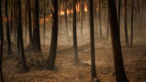 Incêndio