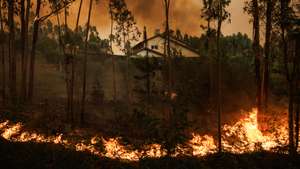 Incêndios