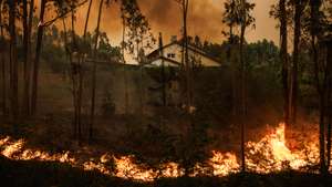 Incêndios