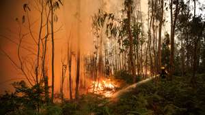 Incêndio