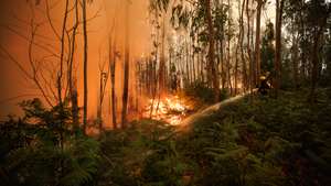 Incêndio