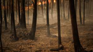 Incêndio